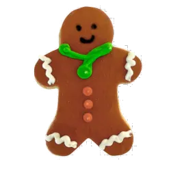 Dolci Impronte Gingerbread Christmas Bisquit