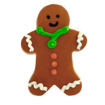 Dolci Impronte Gingerbread Christmas Bisquit