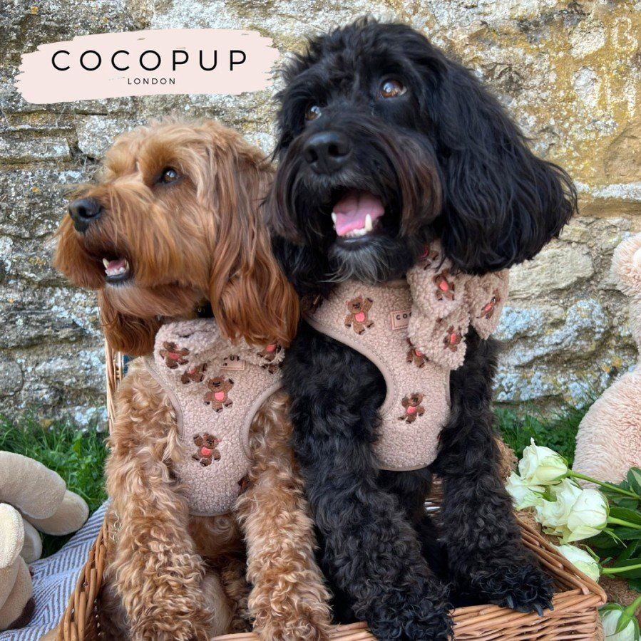 Cocopup London