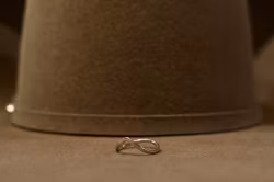 Fjällen