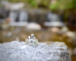 Swan Lake Ring