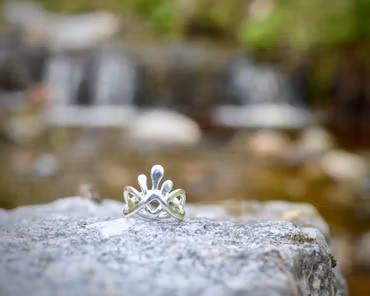 Swan Lake Ring