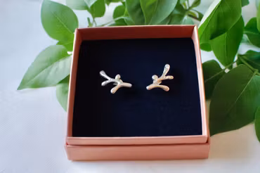 Mini Plants