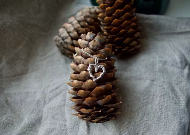 Heart of Silver