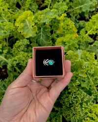 Medelpad-Ring