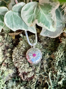 Compass Rose