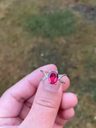 Red Rose
