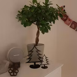 Granar enkla Set om 2stycken