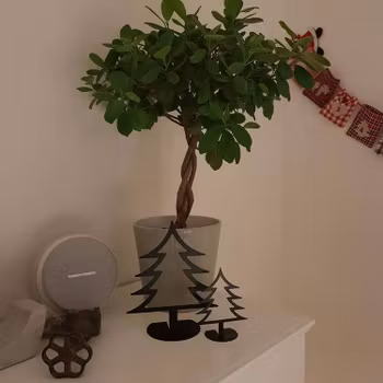 Granar enkla Set om 2stycken