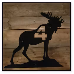 Älg 40