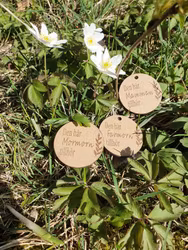 Denna ...... tillhör nyckelhänge