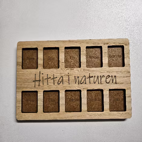 Hitta i naturen platta