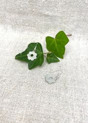 Silvrig "Flora"