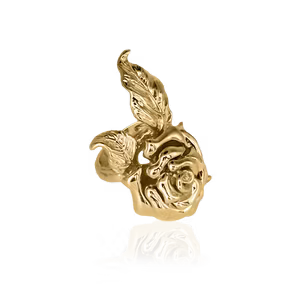 Ioaku nostalgie ring guld