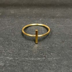 POLAR RING MÄSSING