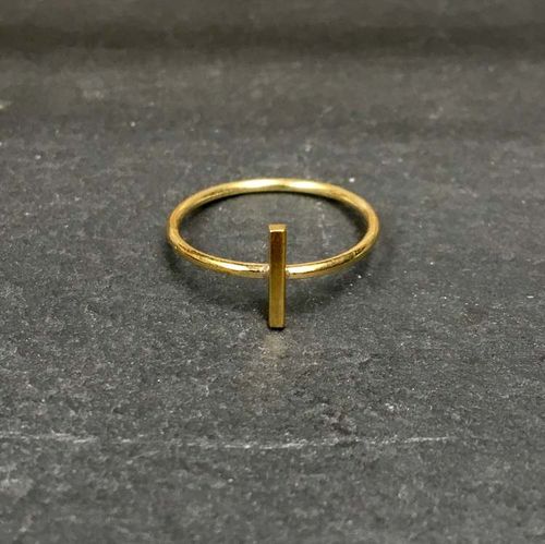 POLAR RING MÄSSING
