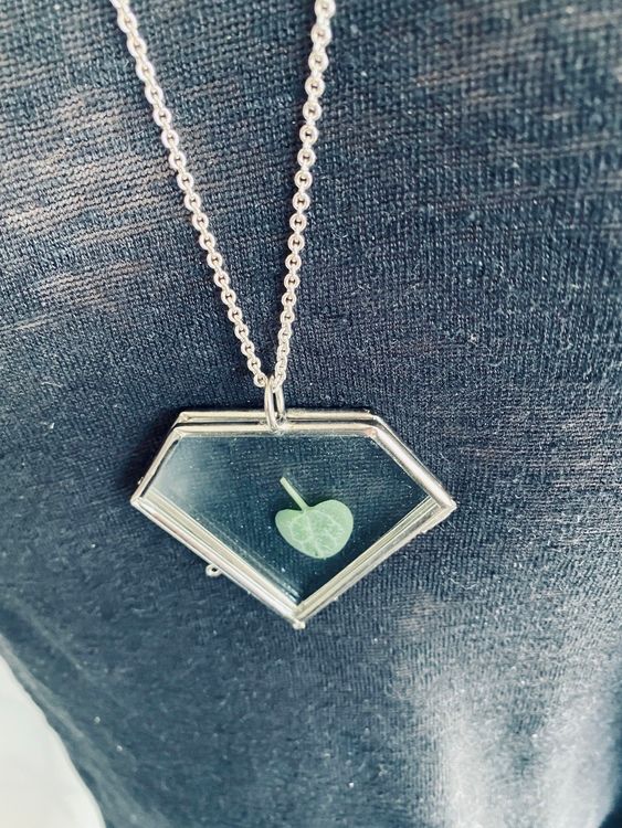 DIAMOND GLASSFRAME HALSBAND FÖRSVILRAT