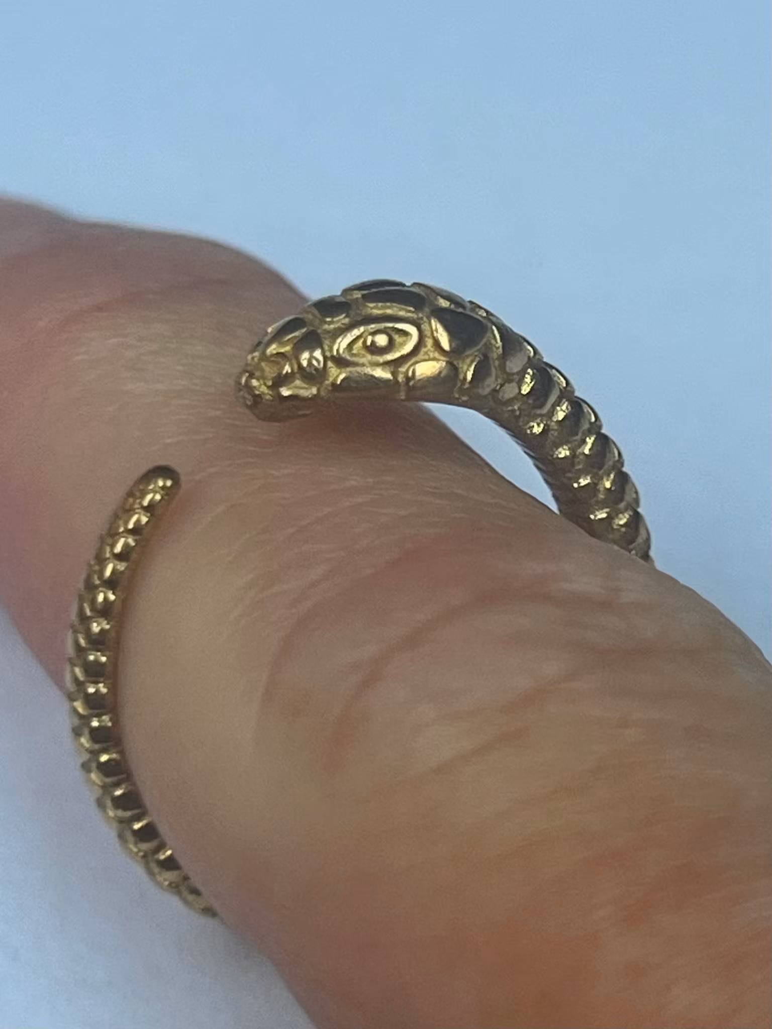 OUROBORO ORM RING I MÄSSING