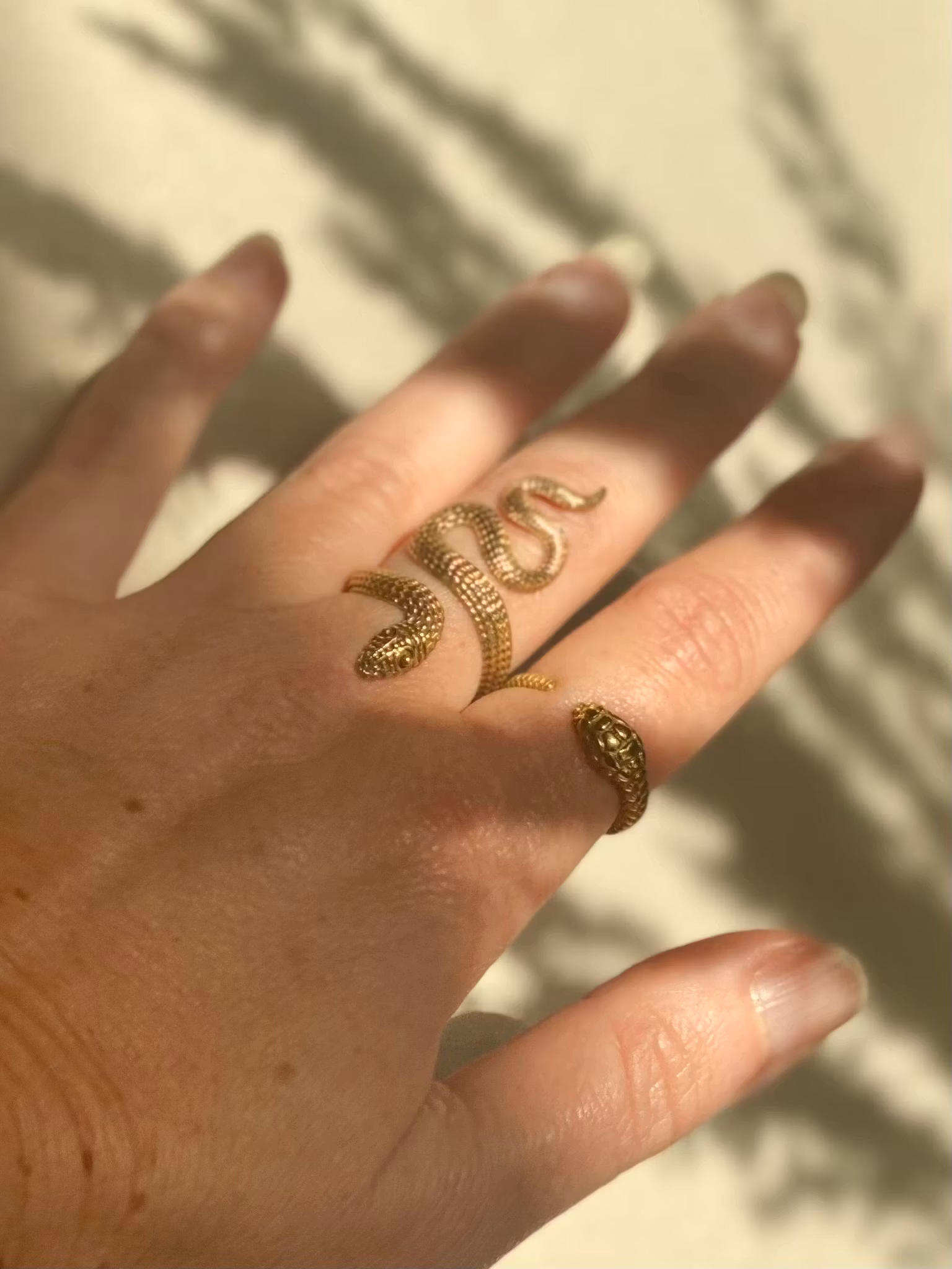 OUROBORO ORM RING I MÄSSING