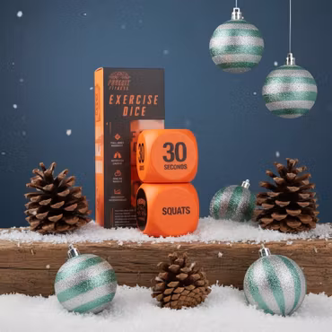 Phoenix Fitness - Fitness Terninger