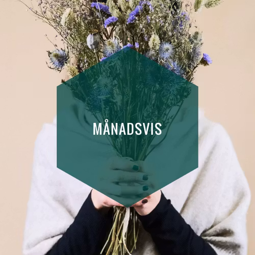 Blomsterprenumeration, månadsvis, lagom