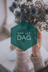 Flower subscription, 14 days, just right