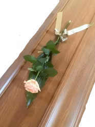 A simple rose