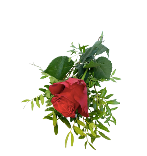 Rose with green