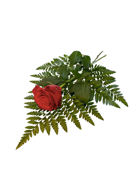 Rose on leaf