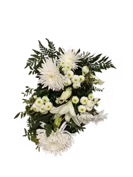 Beautiful white