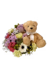 Teddy