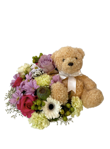 Teddy