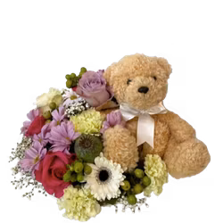 Teddy