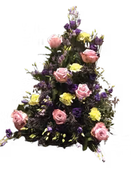Limonium