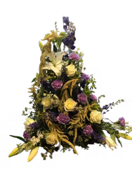Amaranthus