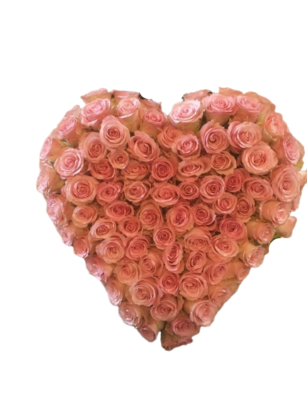 Pink dream