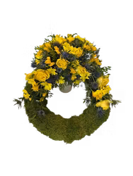Golden moss