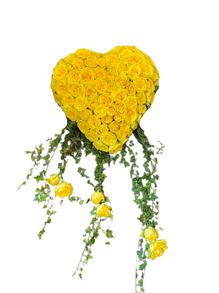 Sunshine heart