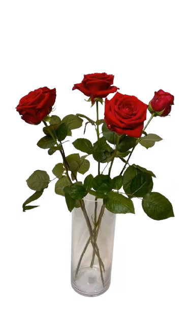 Red roses