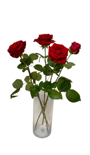 Red roses