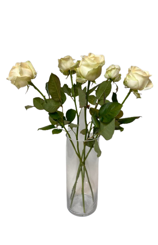 White roses