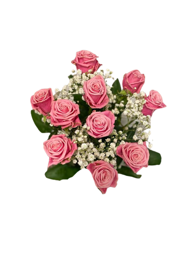Rosa romans