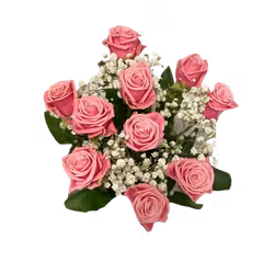 Rosa romans