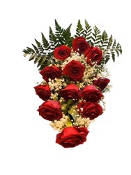 Red rose valley