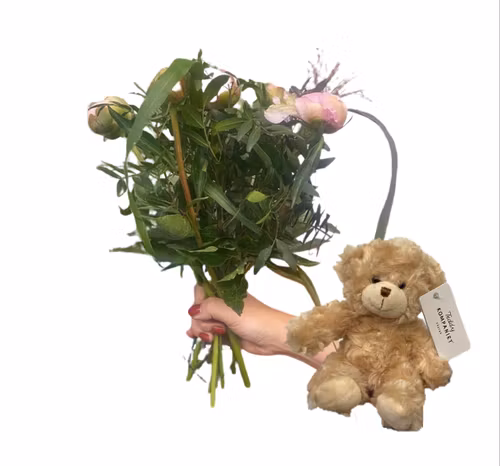 Piondröm + nalle