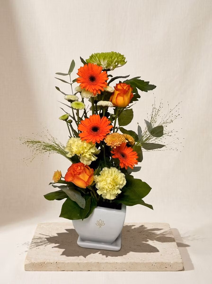 Arrangement in pot
