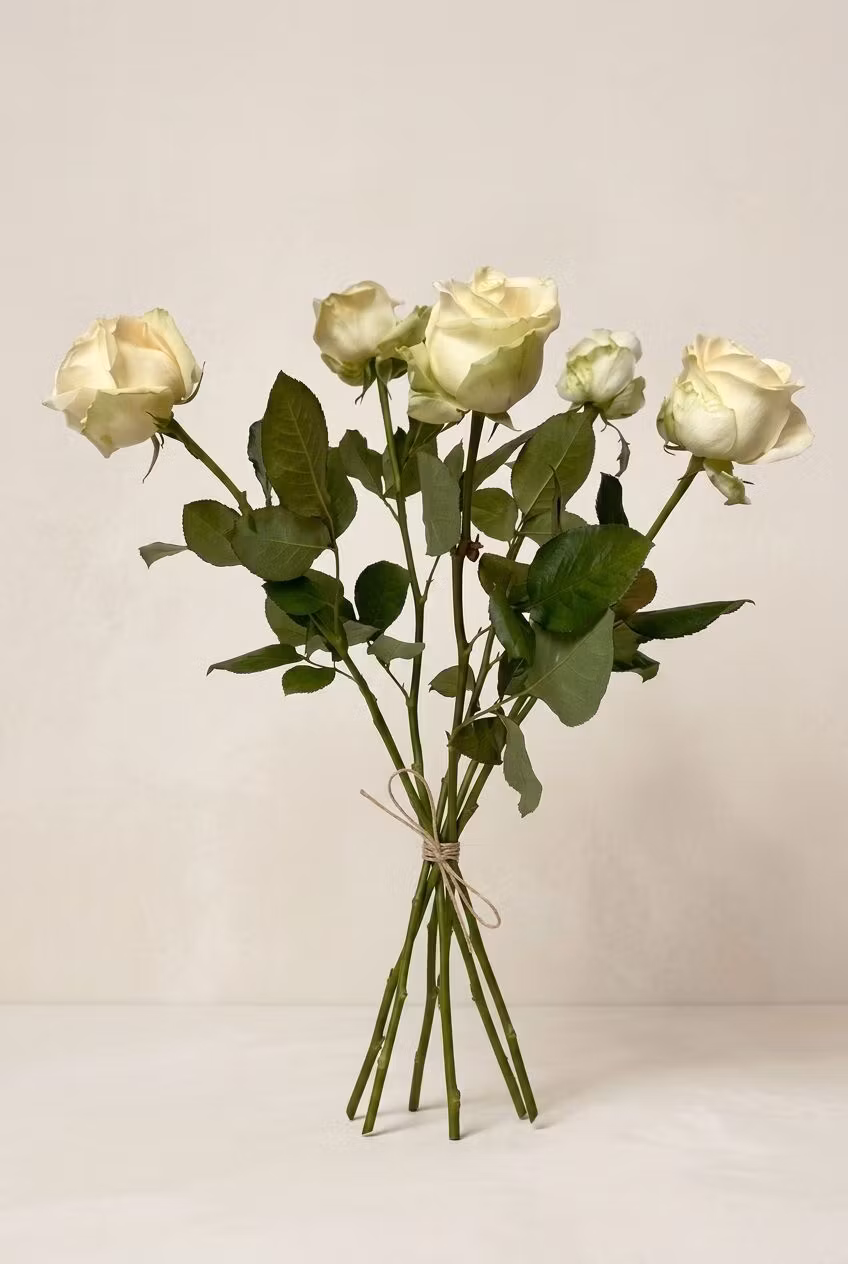 White roses
