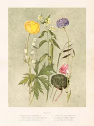 Blomsteräng grön 18x24 cm