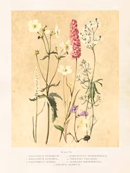 Blomsteräng gul 18x24 cm