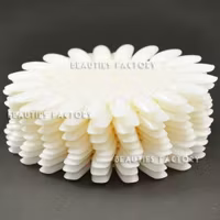 Oval Display hjul - 10st - Natural Ivory